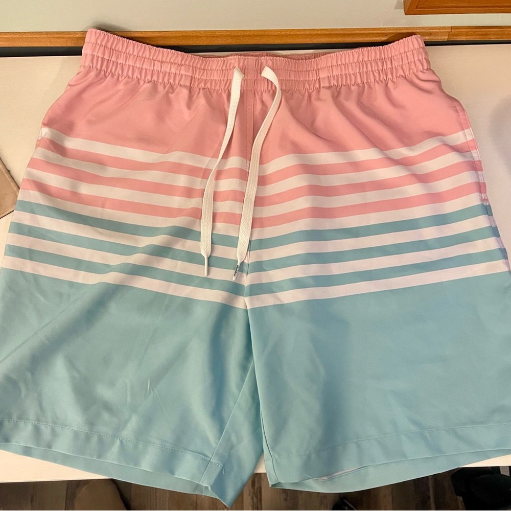 Men’s Chubbies On The Horizons Large Pink and Blue Striped Swim Trunks